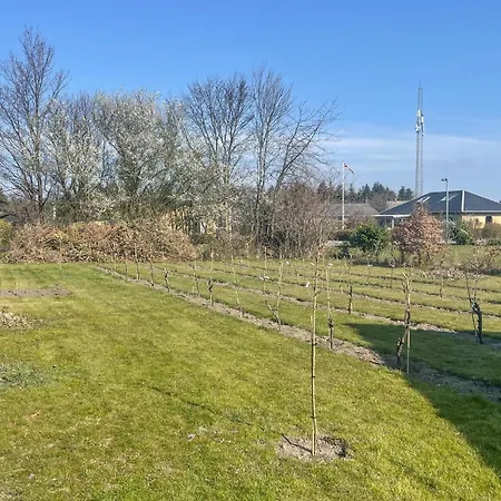Lovely In With Wifi Holiday home Gedser